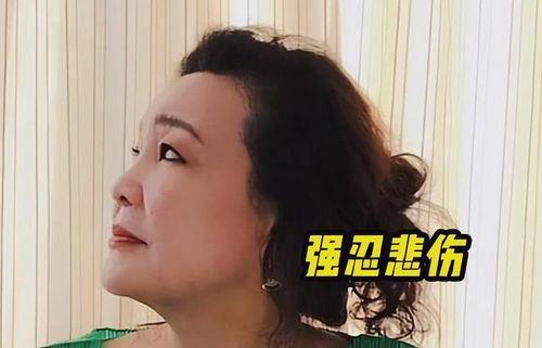 孟贺爆料视频大全下载最新,揭秘幕后真相，最新动态全收录