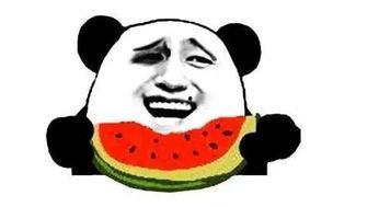 请你们免费吃瓜,快来加入我们! 第3张 请你们免费吃瓜,快来加入我们! 第3张